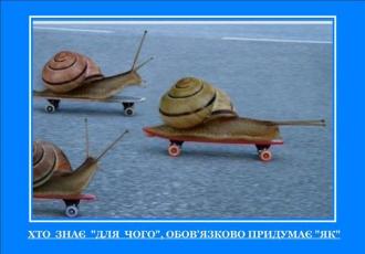 /Files/images/03.jpg